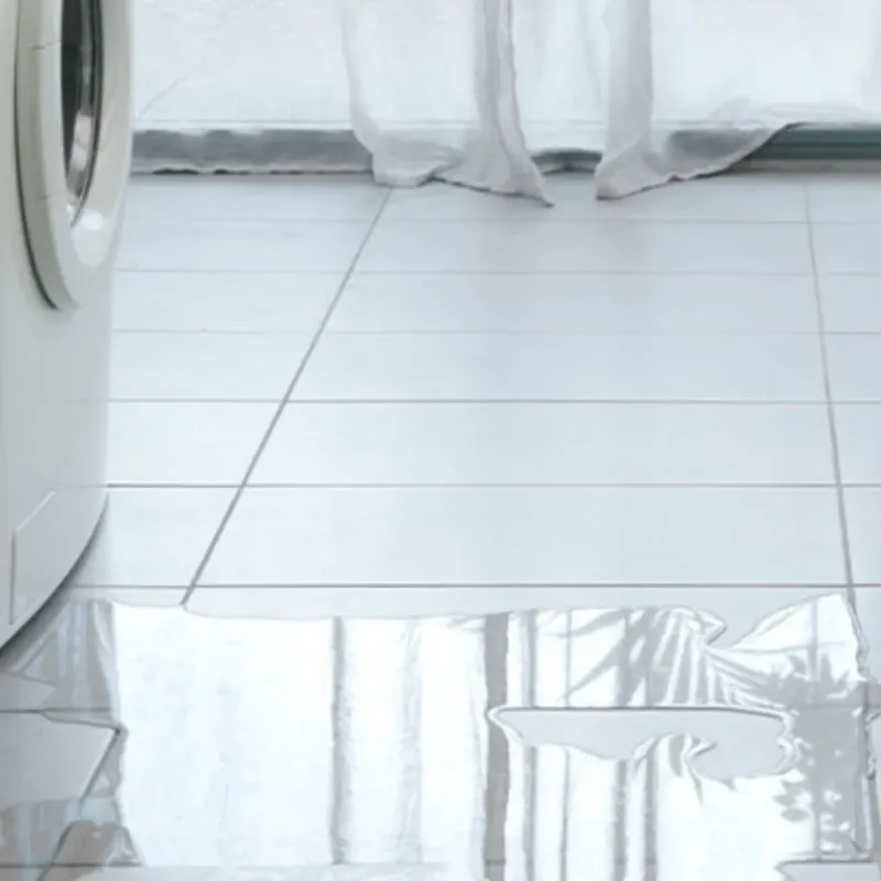 Appliance Leak Cleanup in Manvel, TX