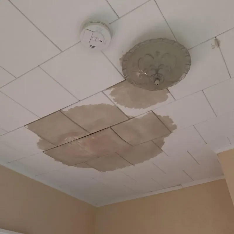 Ceiling Water Damage Repair in Manvel, TX