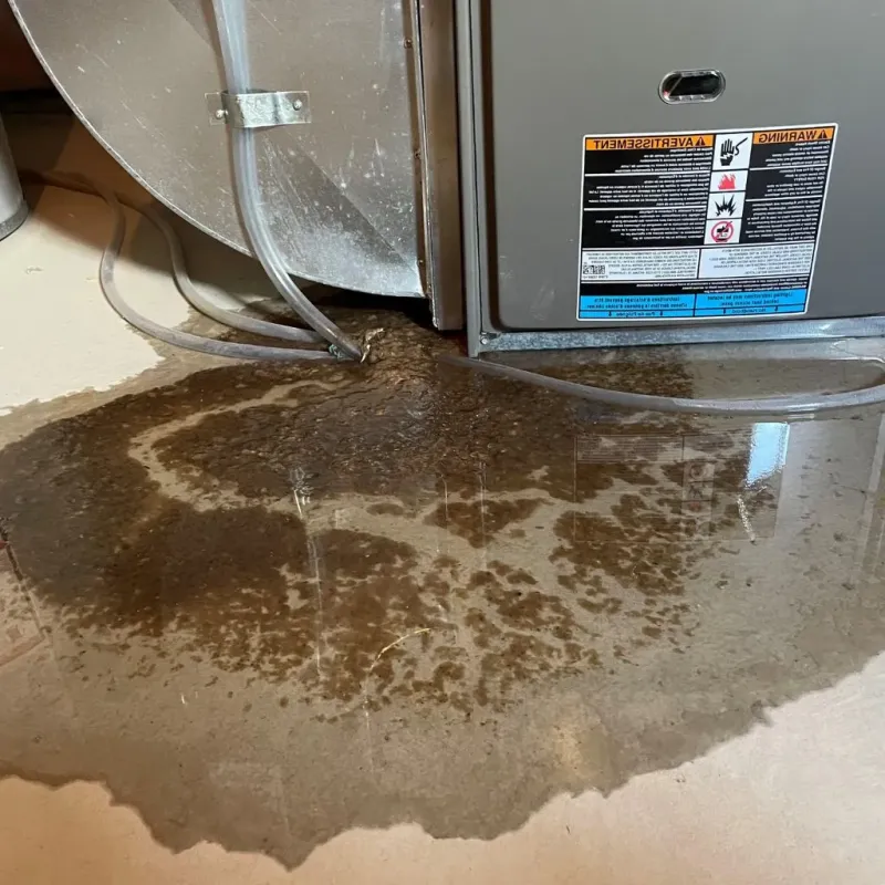 Pipe Burst and Leak Restoration in Manvel, TX